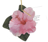 GAW1010 Pink Hibiscus