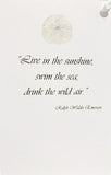 GAW927W Sand Dollar with glitter