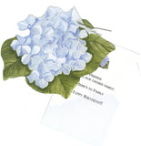 GAW797 Blue Hudrangea