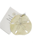 GAW927W Sand Dollar with glitter