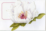 GAD763 Peony Greeting Card
