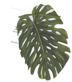 GAD759 Palm Frond