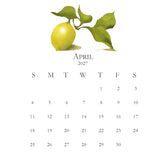 2027 Petite Acrylic Desk Kitchen Calendar