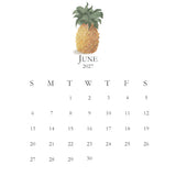 2027 Petite Acrylic Desk Kitchen Calendar