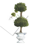GAW793 Topiary