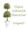 GAW793 Topiary