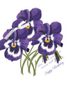 GAW1061 Pansies Greeting Card