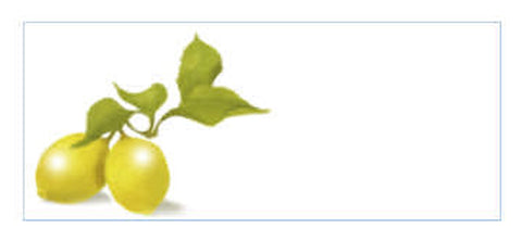 PLC102 Lemons